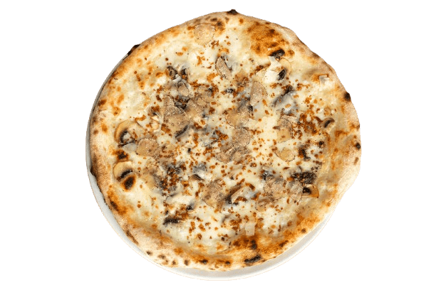 Fresh Summer Truffle